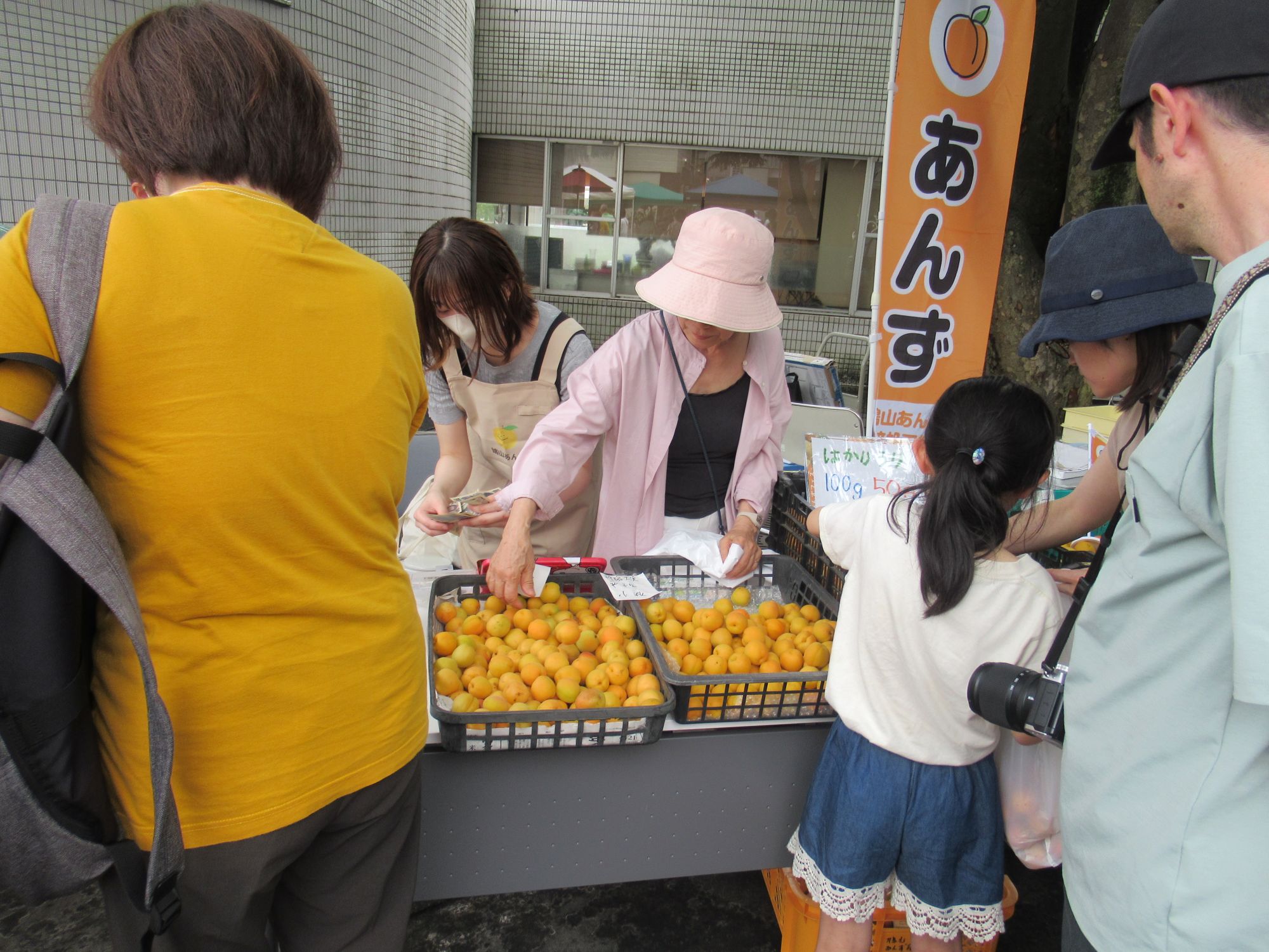 あんずの量り売りの様子。昨年あんず豆乳プリンを考案した卒業生も手伝いに駆け付けてくれました。