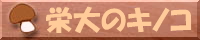 栄大のキノコ
