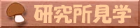 研究所見学