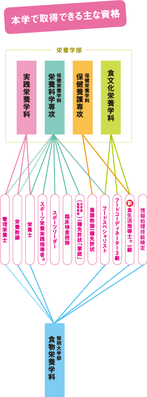 本学で取得できる主な資格