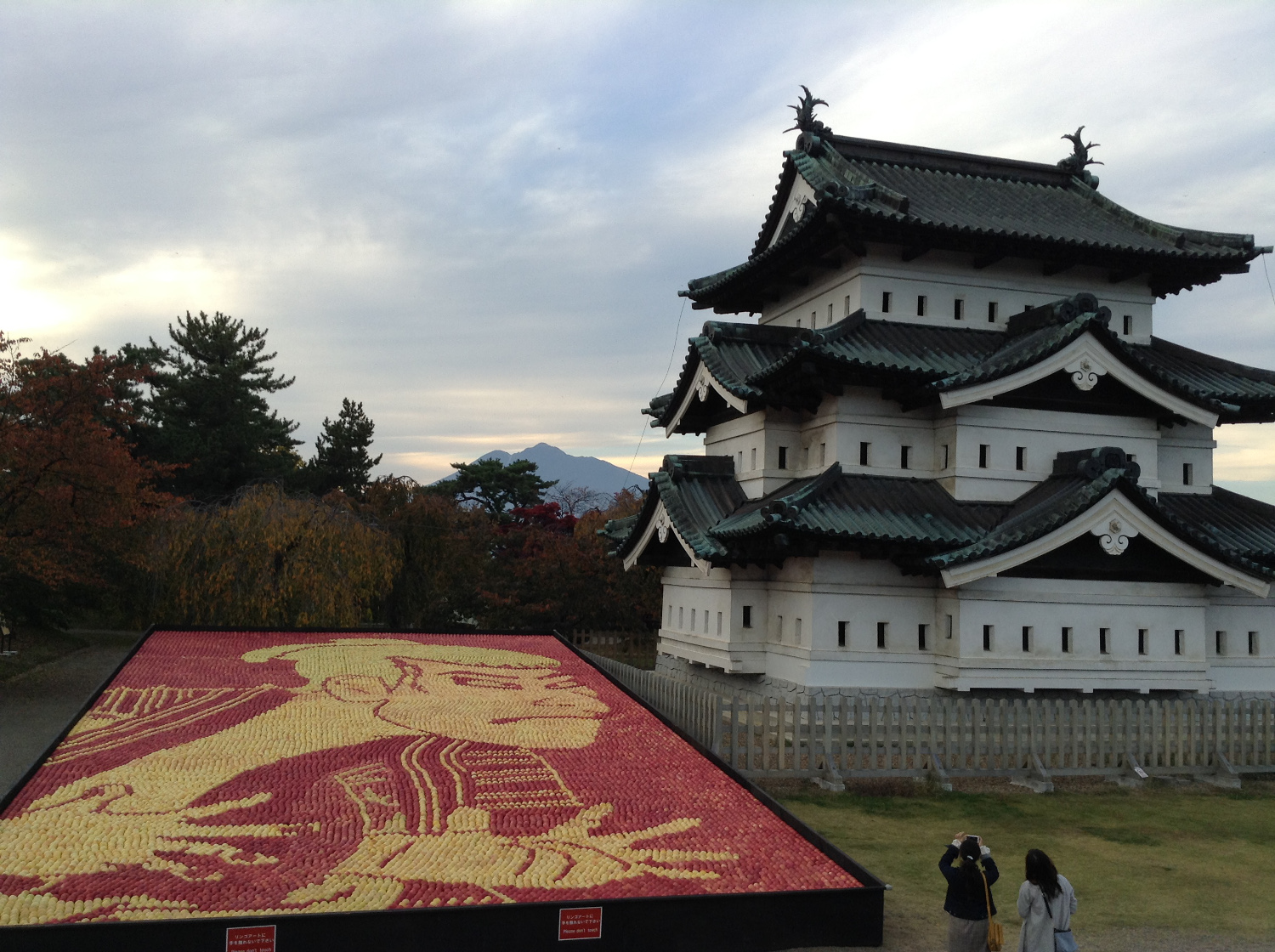 弘前城とりんごアート（背景は岩木山：弘前市）