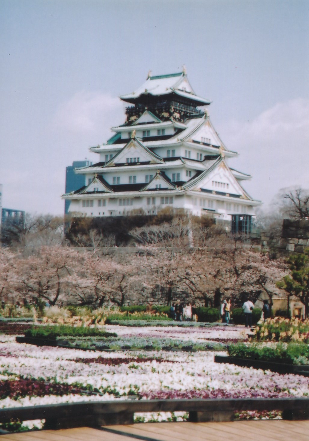 四月　桜満開お花いっぱいの大阪城