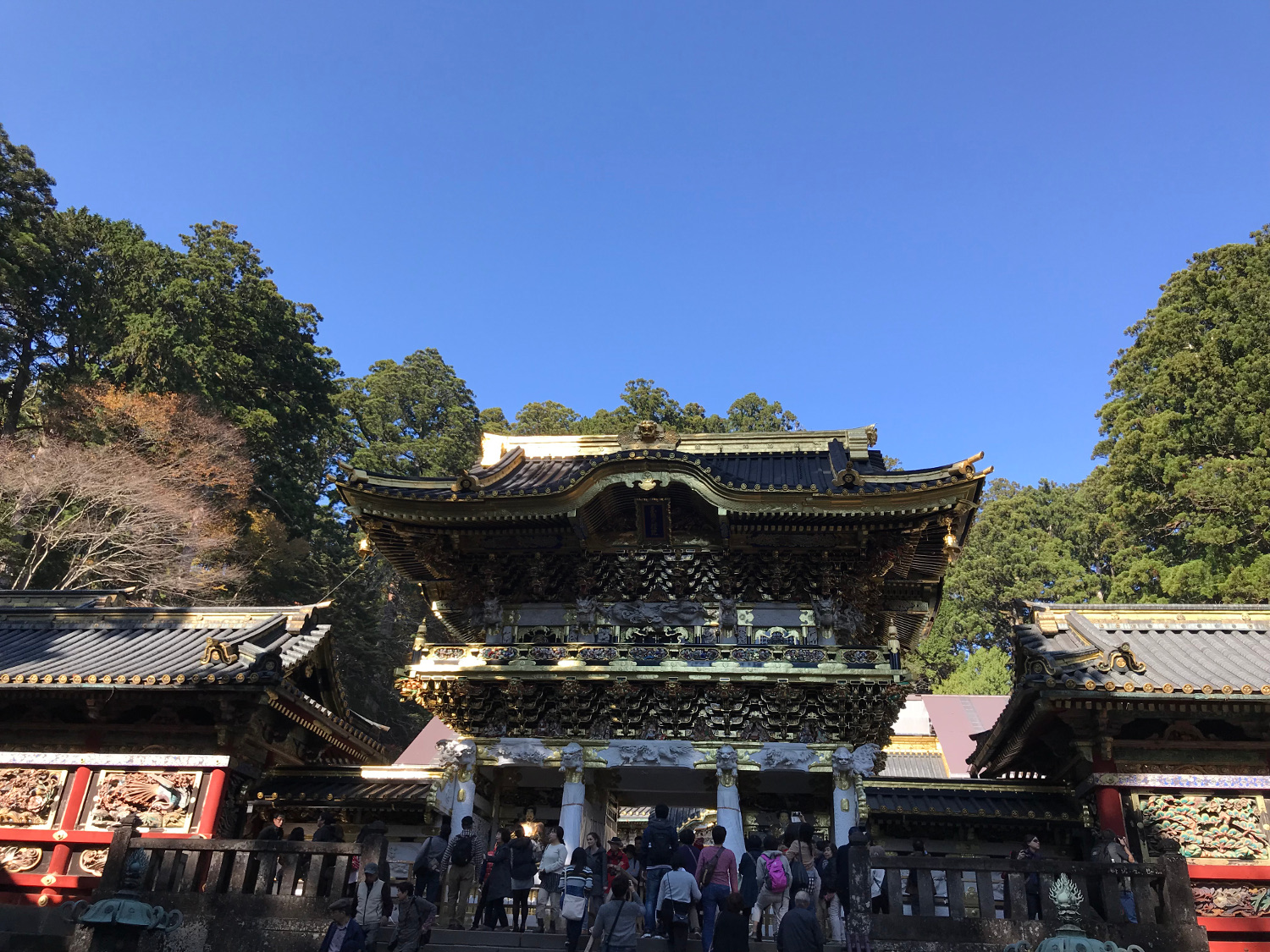 秋の日光東照宮・陽明門（栃木県日光市）