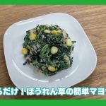食文化栄養学科の学生が考案した“ほうれん草の簡単マヨサラダ”が坂戸市内の「食べものや　大きなかぶ」で小鉢として提供