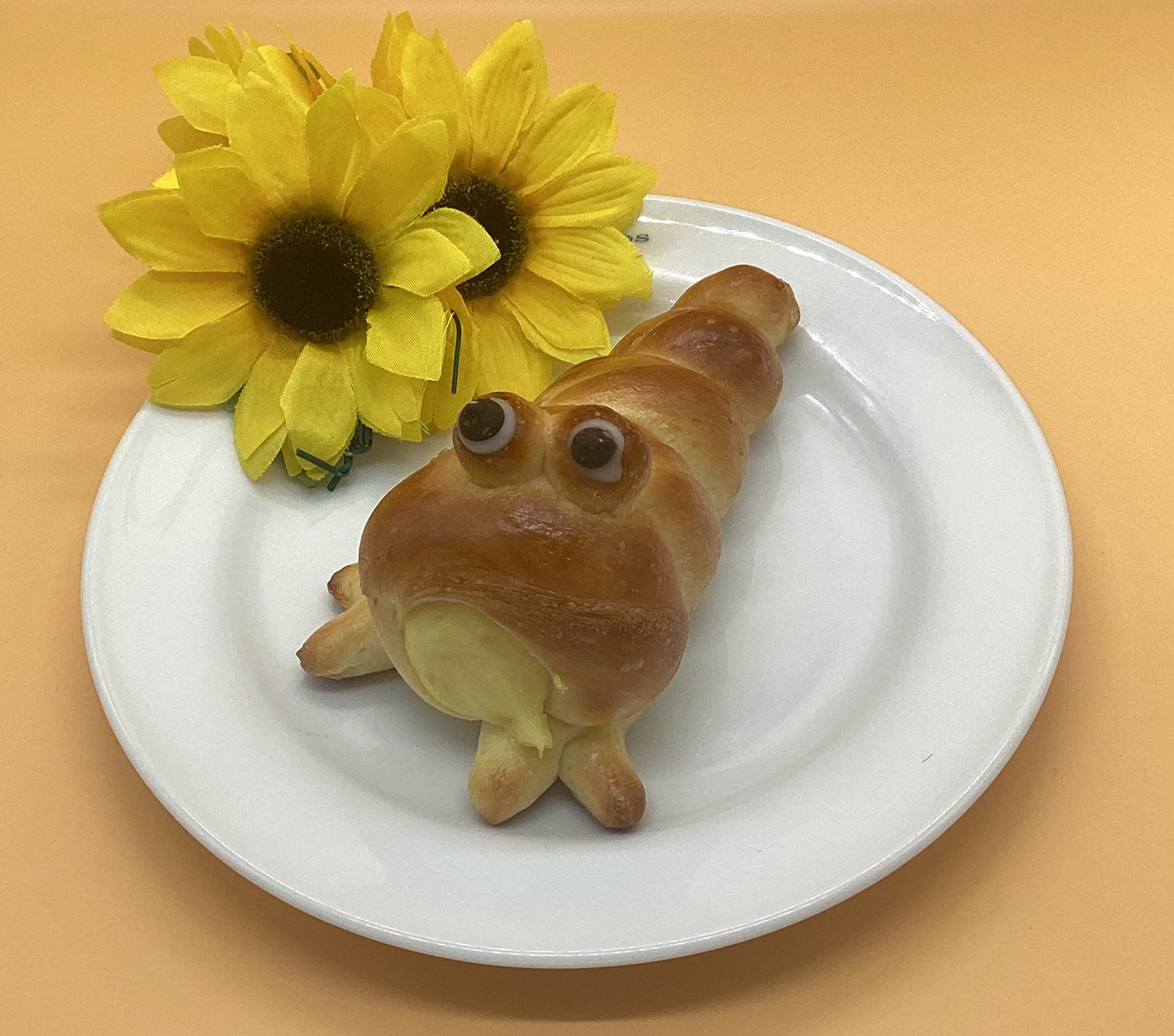 8月のおすすめ