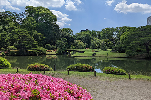 六義園をはじめ緑が多いエリア