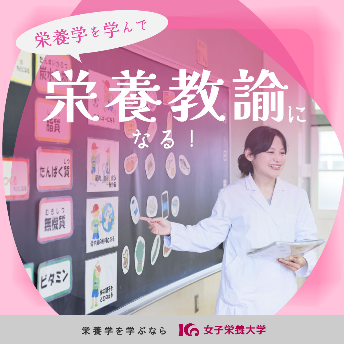 定価18万円!! 新・食育指導全集 栄養士・栄養教諭・学校栄養職員