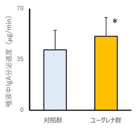 図1 ユーグレナ摂取による唾液IgA分泌への影響 (Nutrients. 11(5), 1144 (2019)より抜粋)