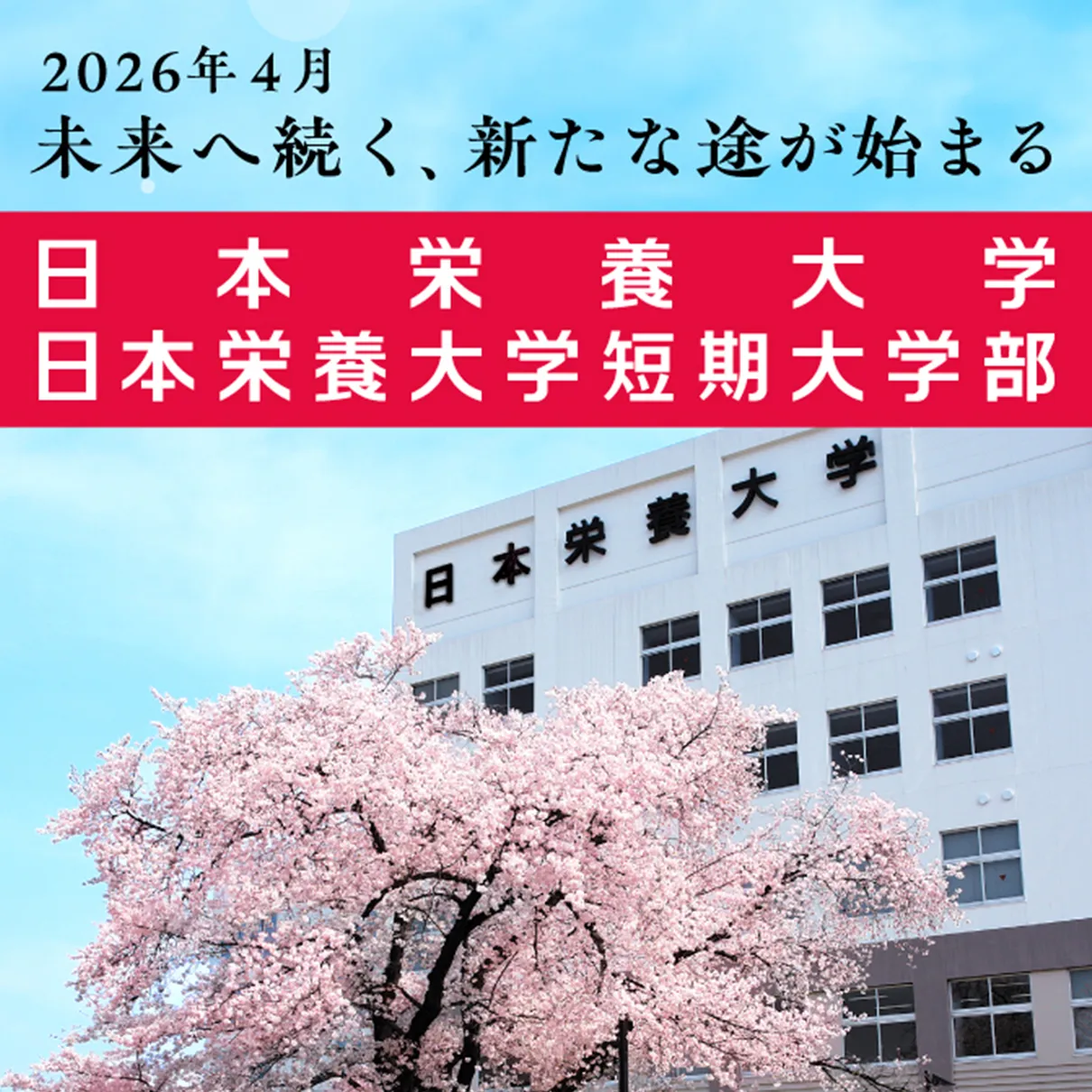 トップ（R80401）