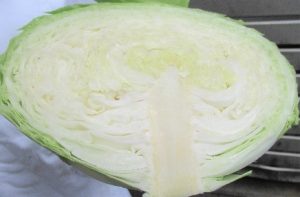 cabbage2