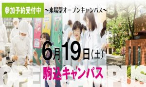 図1