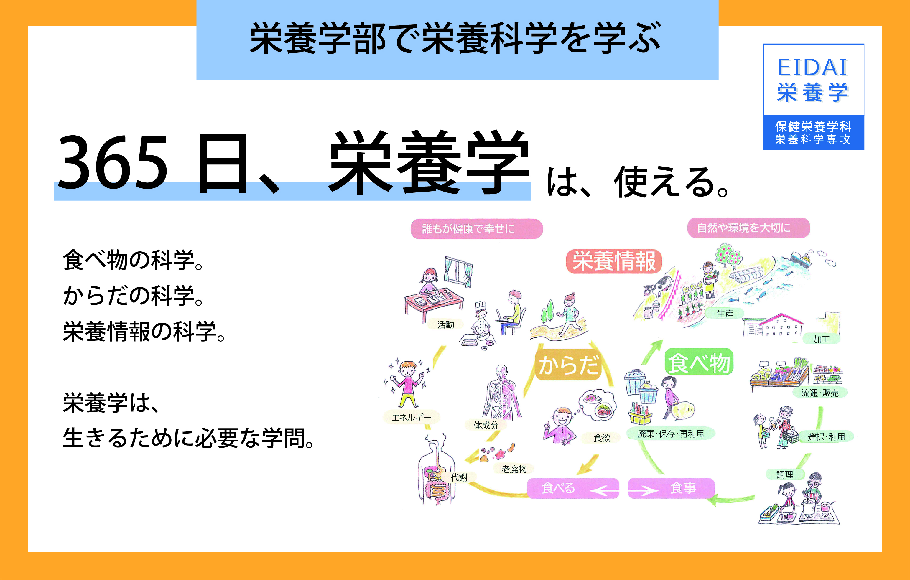 ［EIDAI栄養学］栄養学部で栄養科学を学ぶ①