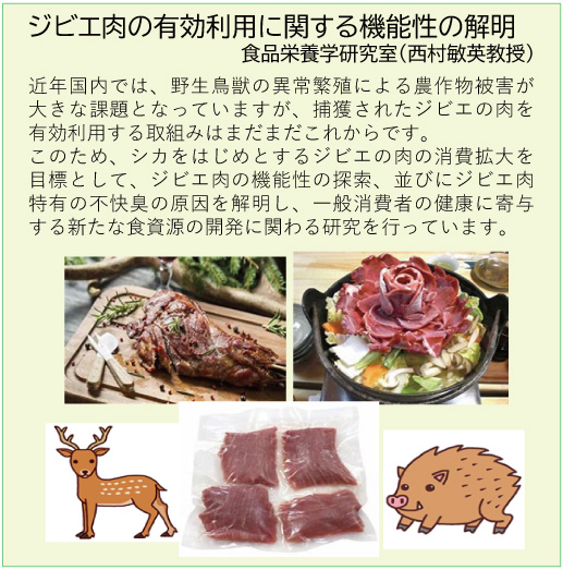 ⑤