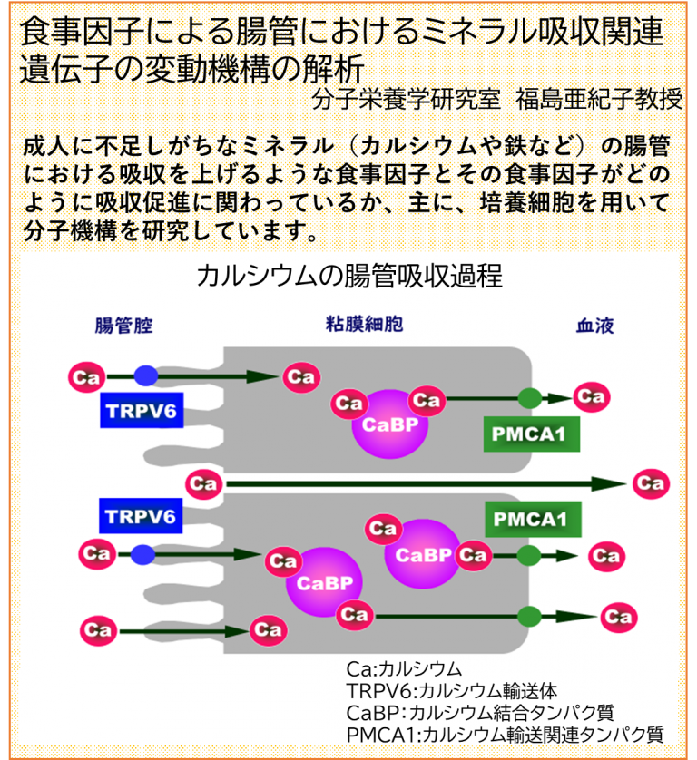 ③